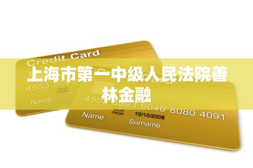 上海市第一中级人民法院善林金融