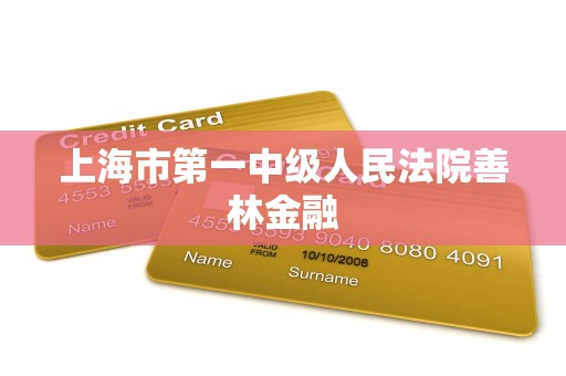 上海市第一中级人民法院善林金融