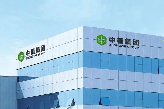 ��ֲϵ����_��ϵʮ����̹_��������ʲô